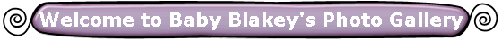 Welcome to Baby Blakey's Photo Gallery